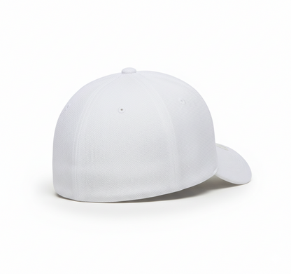 Vintage GT500 Logo Cap